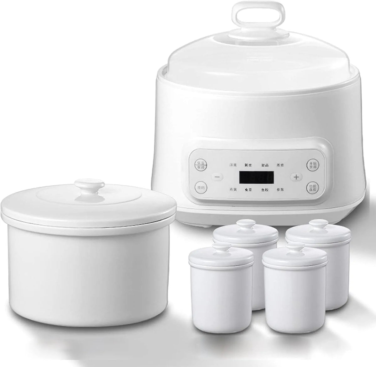 Slowcooker met 2L, 3L, 220V, 50HZ, 300 W, 0,5-1 inch, 24 uur en transparant